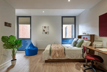 Deluxe Studio - Image 1